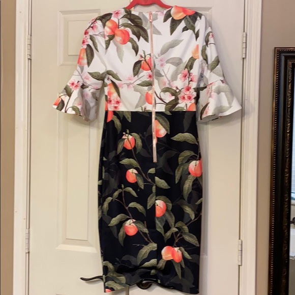 Ted Baker London Areea Peach Blossom Dress Size 1 - Picture 5 of 6